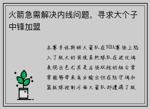火箭急需解决内线问题，寻求大个子中锋加盟